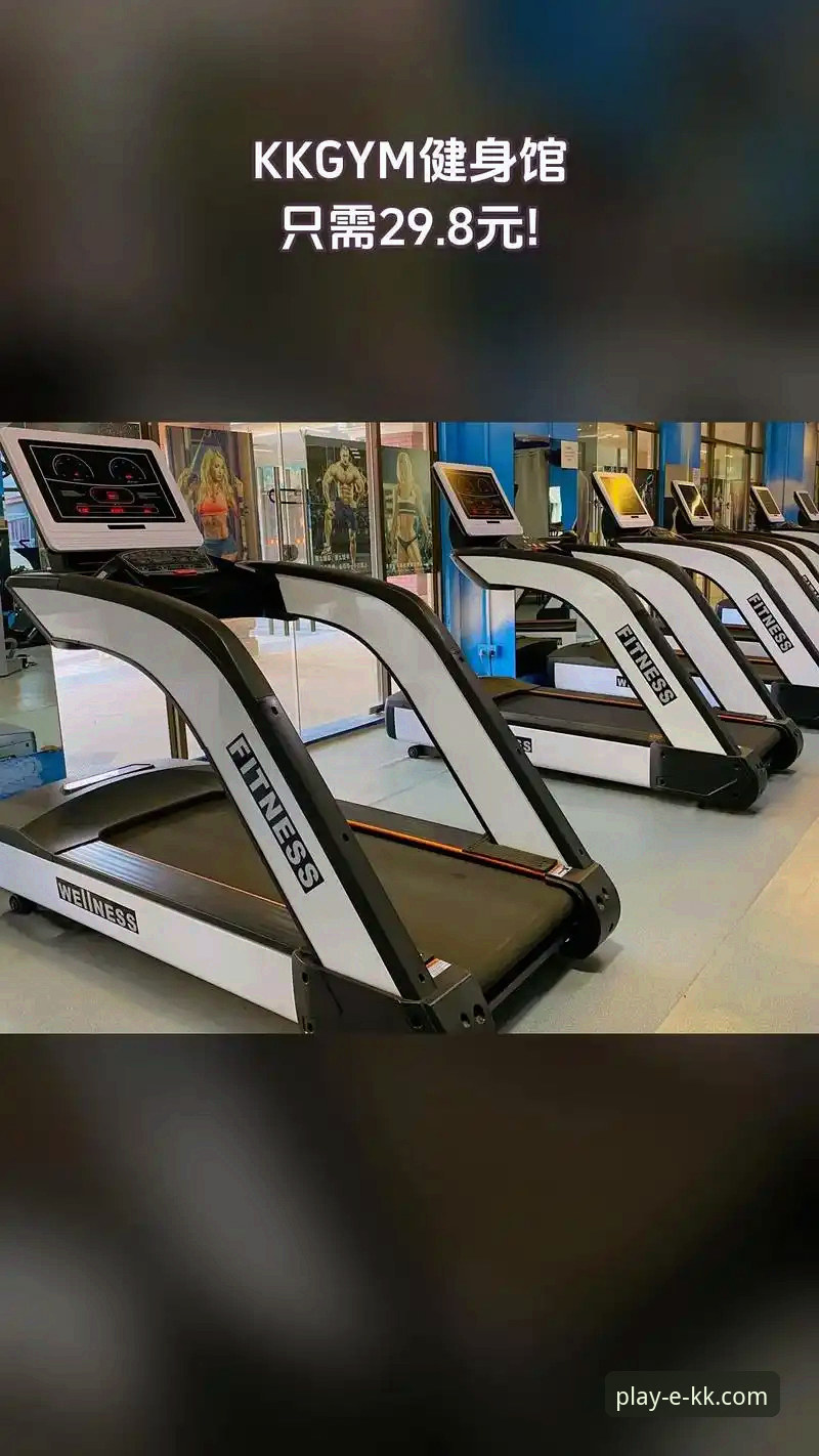 KK体育平台功能最新解析：从移动端到专业分析的全维度体验